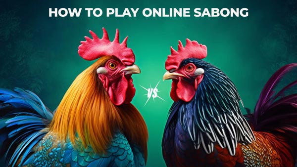 A Beginner's Guide to Betting in Sabong