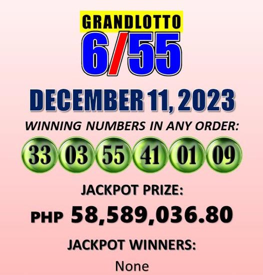 How to Check Your 6/55 Lotto Results and What to Do If You Win